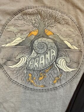 prAna long sleeve t-shirt